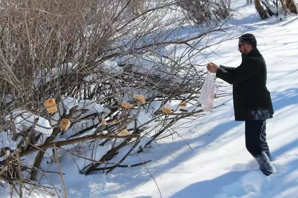 Bingöl'de, yaban hayvanları için askıda ekmek Bingöl'de, yaban hayvanları için askıda ekmek