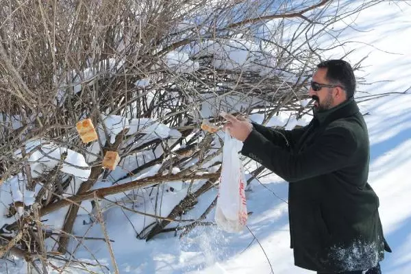 Bingöl'de, yaban hayvanları için askıda ekmek Bingöl'de, yaban hayvanları için askıda ekmek