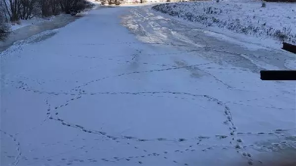 Eksi 25 derecede, buzulları aratmayan görüntüler Eksi 25 derecede, buzulları aratmayan görüntüler