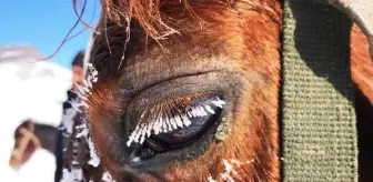 Eksi 25'te nefes kesen cirit gösterisi