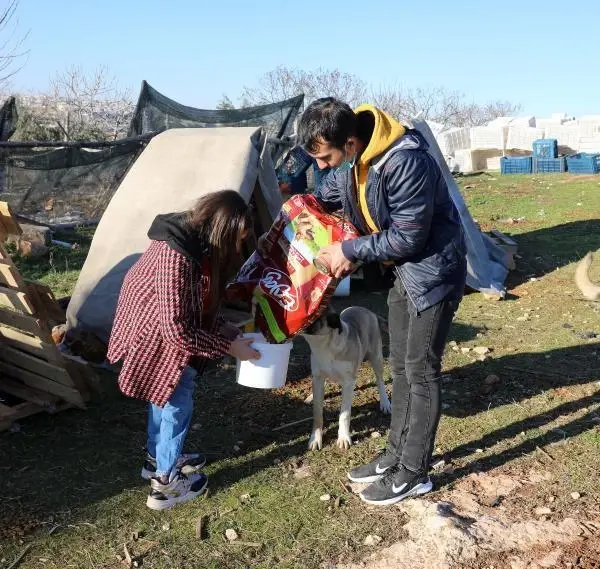 Engeline rağmen, kırsal bölgelerdeki hayvanları besliyor Engeline rağmen, kırsal bölgelerdeki hayvanları besliyor