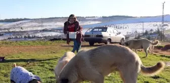 Engeline rağmen, kırsal bölgelerdeki hayvanları besliyor