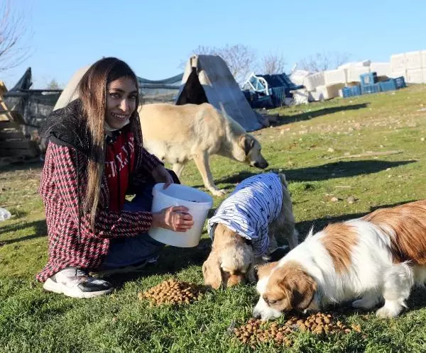Engeline rağmen, kırsal bölgelerdeki hayvanları besliyor Engeline rağmen, kırsal bölgelerdeki hayvanları besliyor