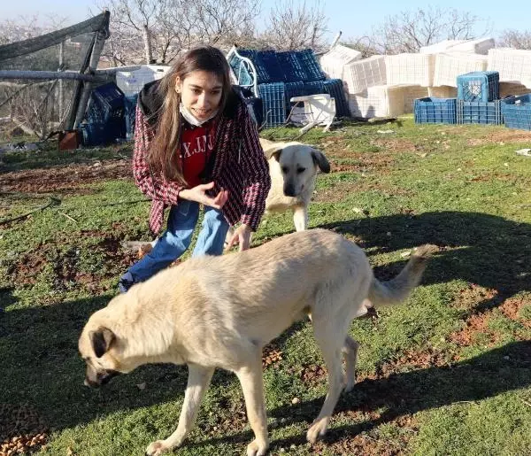 Engeline rağmen, kırsal bölgelerdeki hayvanları besliyor Engeline rağmen, kırsal bölgelerdeki hayvanları besliyor