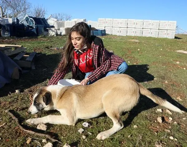 Engeline rağmen, kırsal bölgelerdeki hayvanları besliyor Engeline rağmen, kırsal bölgelerdeki hayvanları besliyor