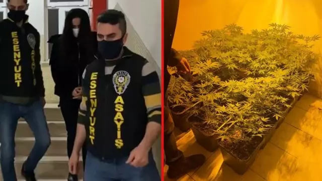 İş yerinin üstünü emlakçı, altını uyuşturucu serasına çeviren kadın: Başkasından alınca başım belaya giriyor, ticari maksadım yok İş yerinin üstünü emlakçı, altını uyuşturucu serasına çeviren kadın: Başkasından alınca başım belaya giriyor, ticari maksadım yok