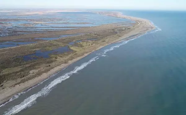Karadeniz'in tuzlu suyunun sızdığı delta, tehdit altında Karadeniz'in tuzlu suyunun sızdığı delta, tehdit altında