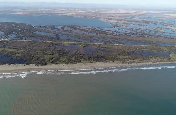 Karadeniz'in tuzlu suyunun sızdığı delta, tehdit altında Karadeniz'in tuzlu suyunun sızdığı delta, tehdit altında