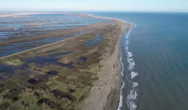 Karadeniz'in tuzlu suyunun sızdığı delta, tehdit altında Karadeniz'in tuzlu suyunun sızdığı delta, tehdit altında