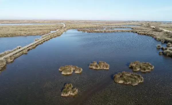 Karadeniz'in tuzlu suyunun sızdığı delta, tehdit altında Karadeniz'in tuzlu suyunun sızdığı delta, tehdit altında