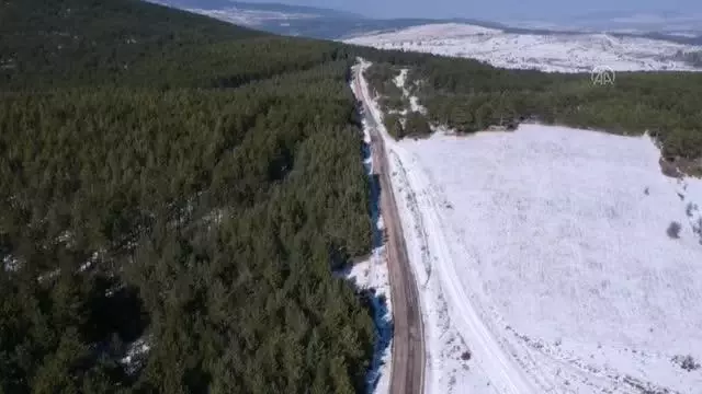 KASTAMONU - Yaban hayvanları için doğaya yem bırakıldı KASTAMONU - Yaban hayvanları için doğaya yem bırakıldı