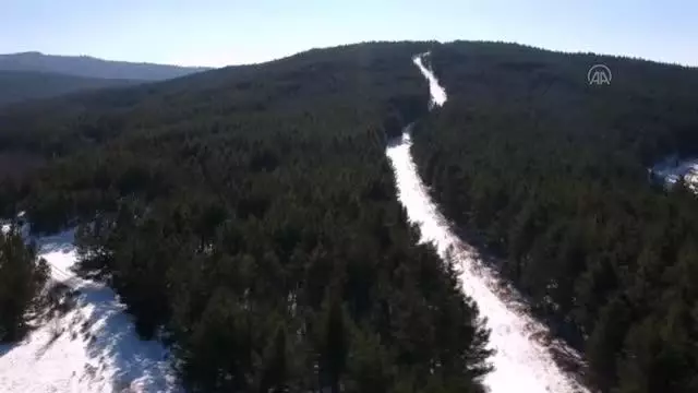 KASTAMONU - Yaban hayvanları için doğaya yem bırakıldı KASTAMONU - Yaban hayvanları için doğaya yem bırakıldı