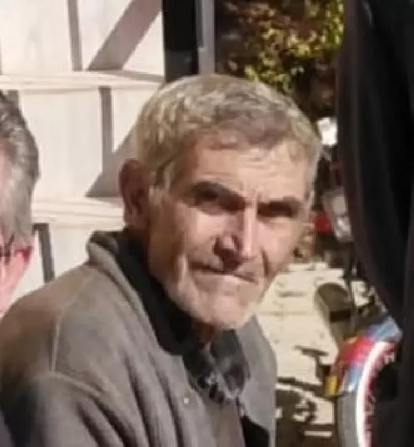 Kesilen tomruğun altında kalarak can verdi Kesilen tomruğun altında kalarak can verdi