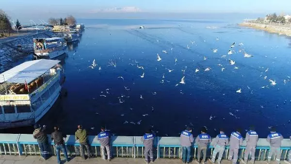 Kısmen donan Beyşehir Gölü'ne martılar için yem bırakıldı Kısmen donan Beyşehir Gölü'ne martılar için yem bırakıldı