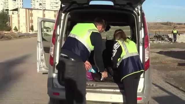 Midyat Belediyesi kısıtlamada sokak hayvanlarını unutmadı Midyat Belediyesi kısıtlamada sokak hayvanlarını unutmadı
