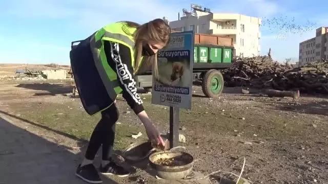 Midyat Belediyesi kısıtlamada sokak hayvanlarını unutmadı Midyat Belediyesi kısıtlamada sokak hayvanlarını unutmadı