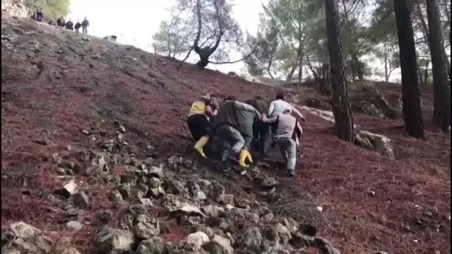 Otomobil şarampole devrildi: 3 yaralı Otomobil şarampole devrildi: 3 yaralı