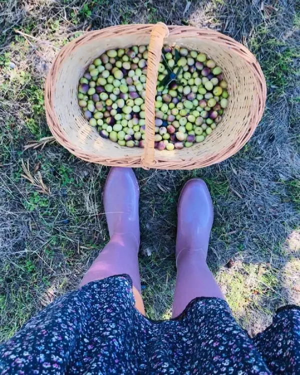 Kırmızı Oda dizisinin Kumru'su Aslıhan Gürbüz, çiftçi oldu