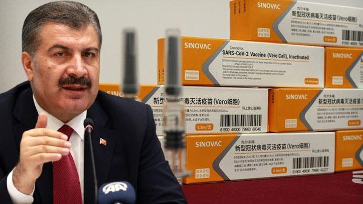 Son Dakika! Sağlık Bakanı Koca müjdeli haberi verdi: Korona aşılarının ikinci sevkiyatı yarın sabah geliyor