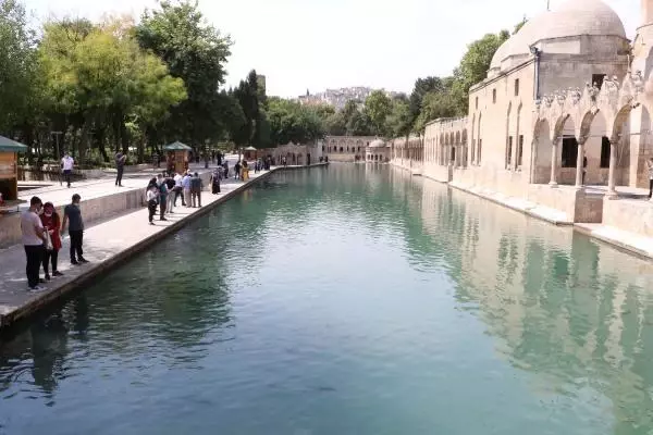 Türkiye'de herkes memleketinde yaşasa en kalabalık il Şanlıurfa olurdu Türkiye'de herkes memleketinde yaşasa en kalabalık il Şanlıurfa olurdu