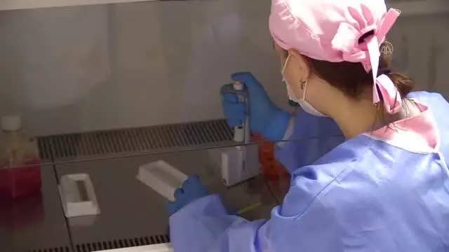 Bakan Varank, Kovid-19'a karşı geliştirilen VLP aşısının toksisite testlerinin yapıldığı laboratuvarda incelemelerde bulundu (2) Bakan Varank, Kovid-19'a karşı geliştirilen VLP aşısının toksisite testlerinin yapıldığı laboratuvarda incelemelerde bulundu (2)