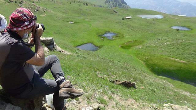 Bir kütükle mucize keşif! 160 milyon yıldır Gümüşhane'nin zirvesinde