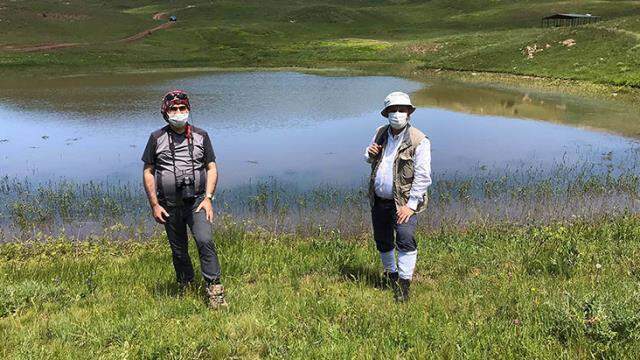 Bir kütükle mucize keşif! 160 milyon yıldır Gümüşhane'nin zirvesinde