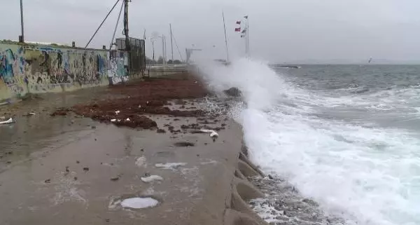 Lodos nedeniyle kırmızı yosunlar Caddebostan Sahili'nde kıyıya vurdu