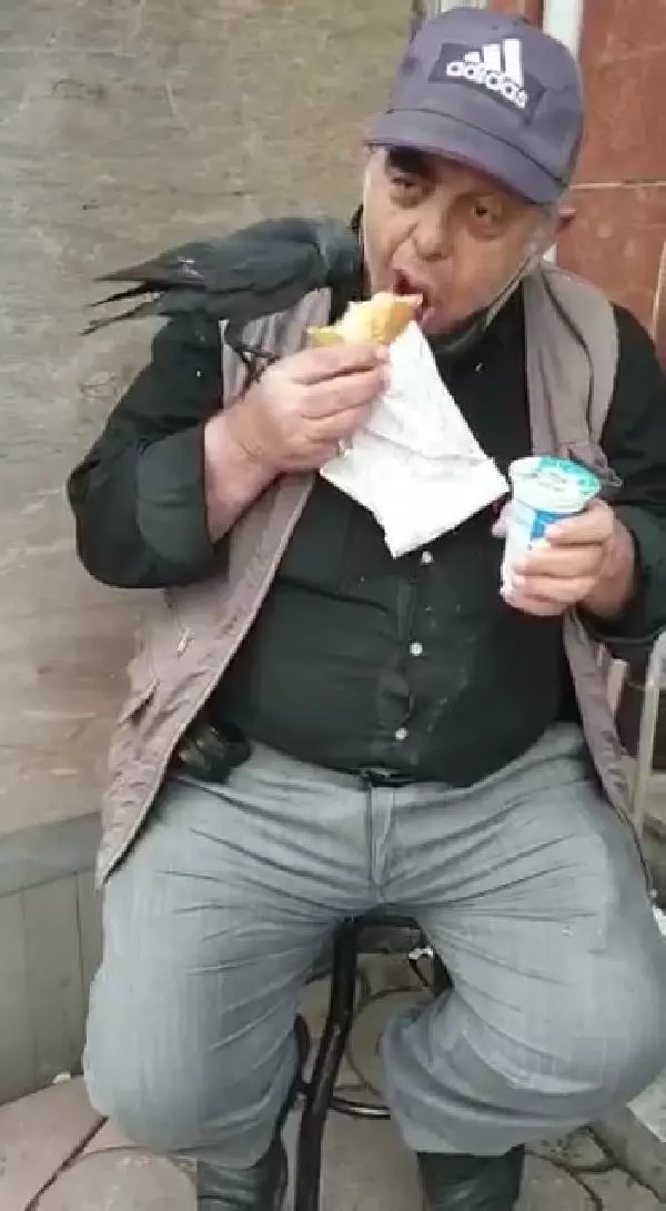 Vatandaşın koluna konup döner yiyen karganın görüntüsü yüzleri gülümsetti Vatandaşın koluna konup döner yiyen karganın görüntüsü yüzleri gülümsetti