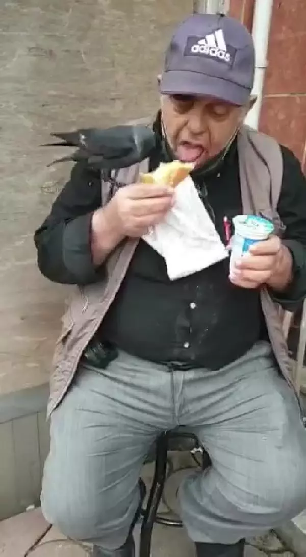 Vatandaşın koluna konup döner yiyen karganın görüntüsü yüzleri gülümsetti Vatandaşın koluna konup döner yiyen karganın görüntüsü yüzleri gülümsetti