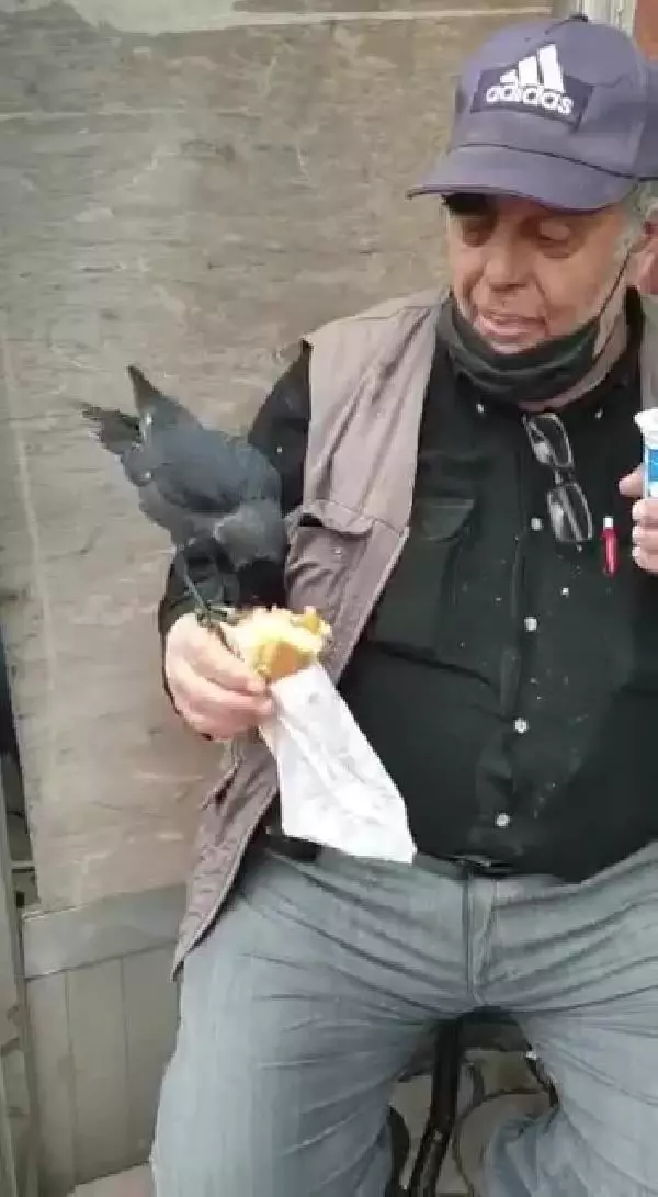 Vatandaşın koluna konup döner yiyen karganın görüntüsü yüzleri gülümsetti Vatandaşın koluna konup döner yiyen karganın görüntüsü yüzleri gülümsetti