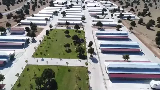 Konya Büyükşehir Belediyesi katkı payı ödeyerek sokak köpeklerine evde bakım hizmeti sağlıyor Konya Büyükşehir Belediyesi katkı payı ödeyerek sokak köpeklerine evde bakım hizmeti sağlıyor
