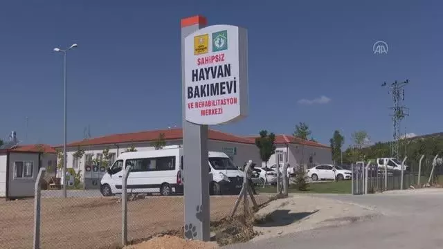 Konya Büyükşehir Belediyesi katkı payı ödeyerek sokak köpeklerine evde bakım hizmeti sağlıyor Konya Büyükşehir Belediyesi katkı payı ödeyerek sokak köpeklerine evde bakım hizmeti sağlıyor