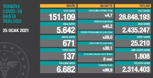 Koronavirüs salgınında can kaybı 25 bin 210'e yükseldi Koronavirüs salgınında can kaybı 25 bin 210'e yükseldi