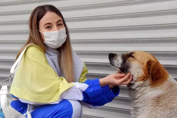 Mahalleli sokak hayvanlarını zehirleyenleri arıyor Mahalleli sokak hayvanlarını zehirleyenleri arıyor
