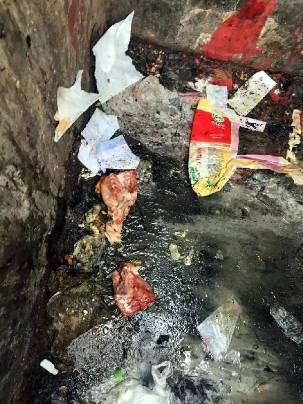 Mahalleli sokak hayvanlarını zehirleyenleri arıyor Mahalleli sokak hayvanlarını zehirleyenleri arıyor
