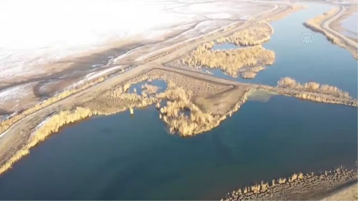 'Türkiye'nin çatısı' kış göçmeni misafirlerini ağırlıyor