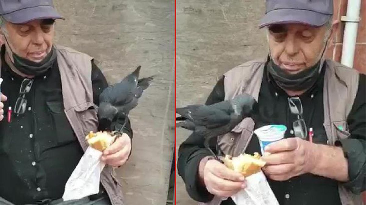 Vatandaşın koluna konup döner yiyen karganın görüntüsü yüzleri gülümsetti