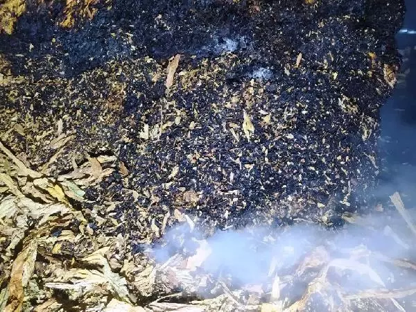 Son Dakika | Adıyaman'da çıkan yangında 900 kilo tütün yandı Son Dakika | Adıyaman'da çıkan yangında 900 kilo tütün yandı