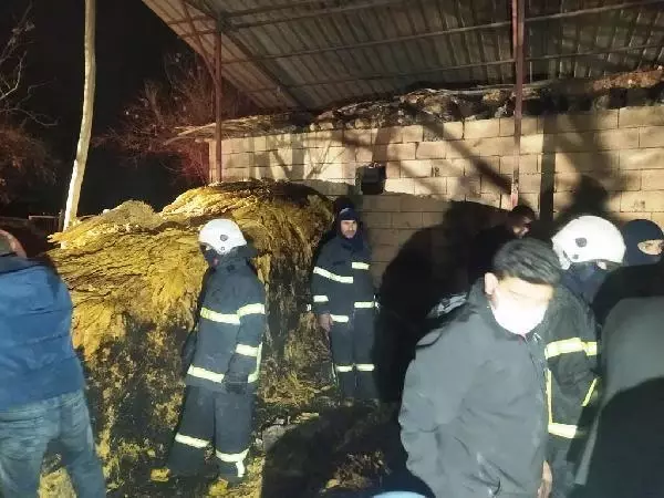 Son Dakika | Adıyaman'da çıkan yangında 900 kilo tütün yandı Son Dakika | Adıyaman'da çıkan yangında 900 kilo tütün yandı