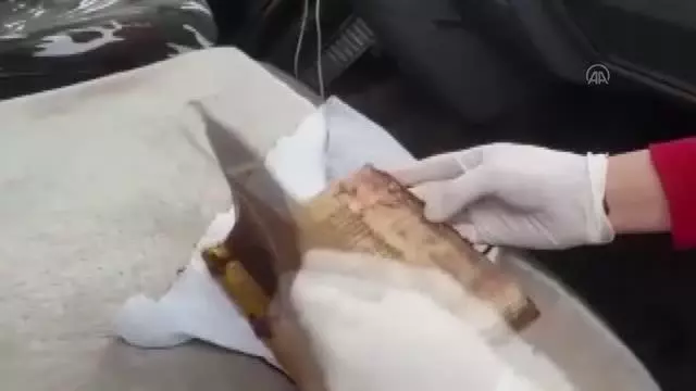 Bir araçta tarihi eser niteliğinde İncil ele geçirildi Bir araçta tarihi eser niteliğinde İncil ele geçirildi