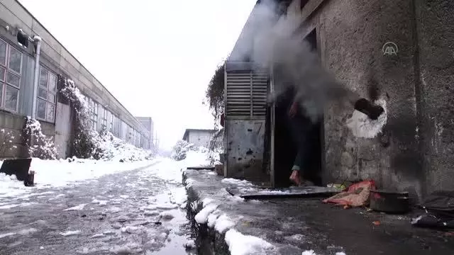 Bosna Hersek'teki göçmenlerin yaşam mücadelesi devam ediyor Bosna Hersek'teki göçmenlerin yaşam mücadelesi devam ediyor