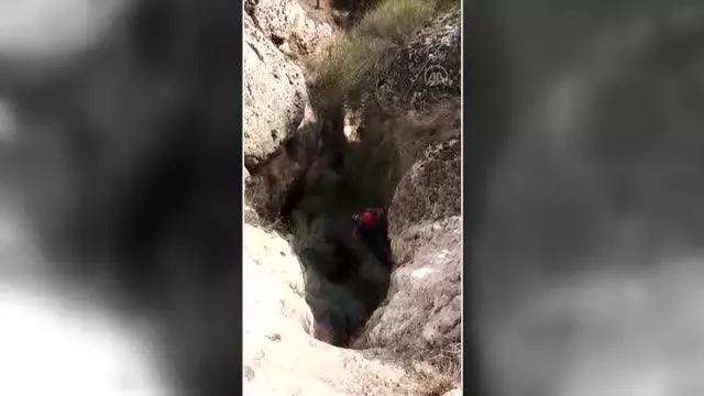 Kayalıklarda mahsur kalan keçiler AFAD ekiplerince kurtarıldı Kayalıklarda mahsur kalan keçiler AFAD ekiplerince kurtarıldı