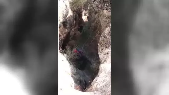 Kayalıklarda mahsur kalan keçiler AFAD ekiplerince kurtarıldı Kayalıklarda mahsur kalan keçiler AFAD ekiplerince kurtarıldı
