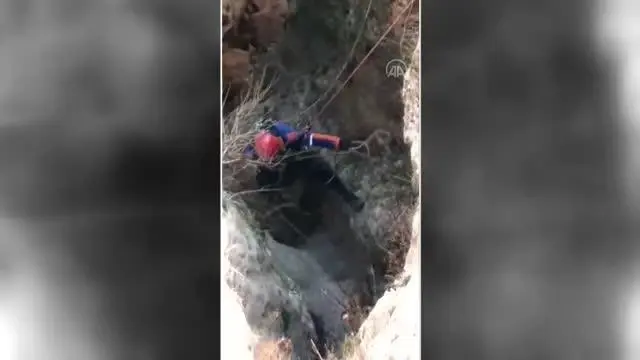 Kayalıklarda mahsur kalan keçiler AFAD ekiplerince kurtarıldı Kayalıklarda mahsur kalan keçiler AFAD ekiplerince kurtarıldı