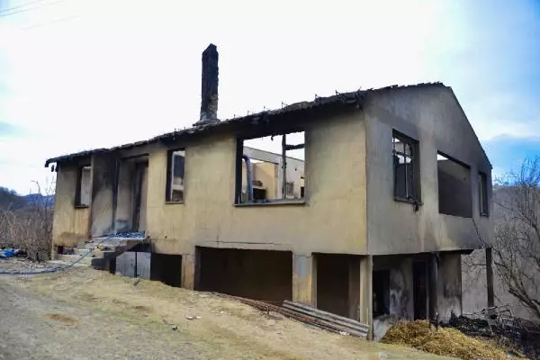 Ordu'da korkunç yangın: 400 tavuk telef oldu Ordu'da korkunç yangın: 400 tavuk telef oldu
