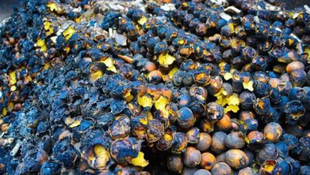 Ordu'da rüzgarın etkisiyle büyüyen korkunç yangında üreticinin tüm birikimi kül oldu Ordu'da rüzgarın etkisiyle büyüyen korkunç yangında üreticinin tüm birikimi kül oldu