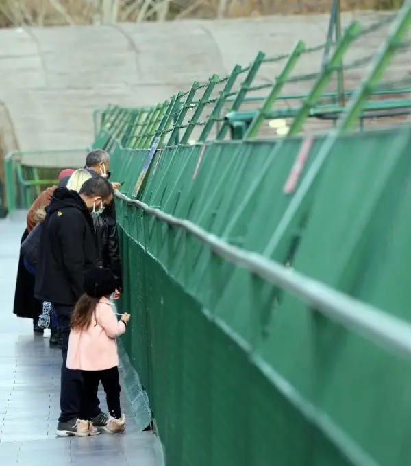Türkiye'nin en büyük hayvanat bahçesinde hedef 5 milyon ziyaretçi Türkiye'nin en büyük hayvanat bahçesinde hedef 5 milyon ziyaretçi