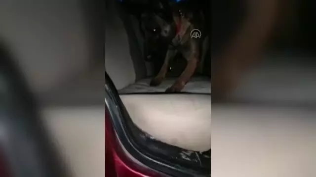 22 kilo 500 gram esrar ele geçirildi 22 kilo 500 gram esrar ele geçirildi