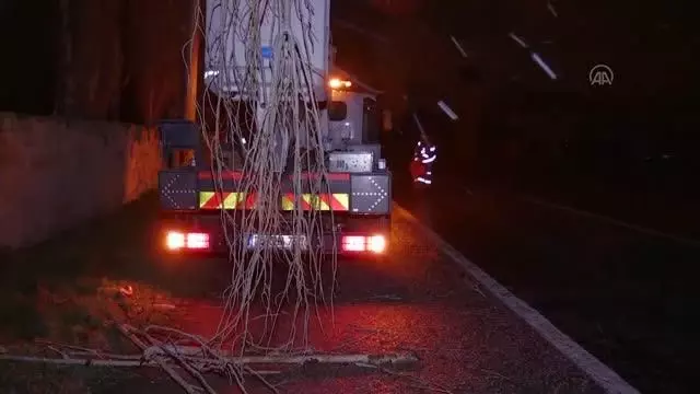 AFYONKARAHİSAR - Rüzgarın etkisiyle kırılan ağaç dalı mahalleyi elektriksiz bıraktı AFYONKARAHİSAR - Rüzgarın etkisiyle kırılan ağaç dalı mahalleyi elektriksiz bıraktı